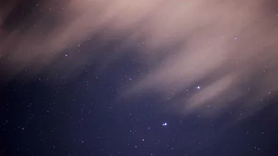 動物たちの不思議な世界：驚きの生態